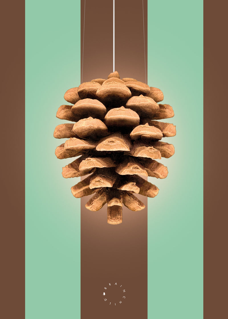 Brainchild – Poster – Modern Edition – Kotte