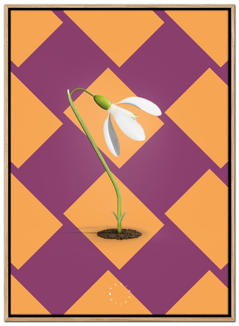 Brainchild – Canvastryck – Modern Edition – Snödroppar