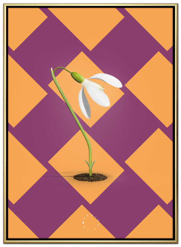 Brainchild – Canvastryck – Modern Edition – Snödroppar