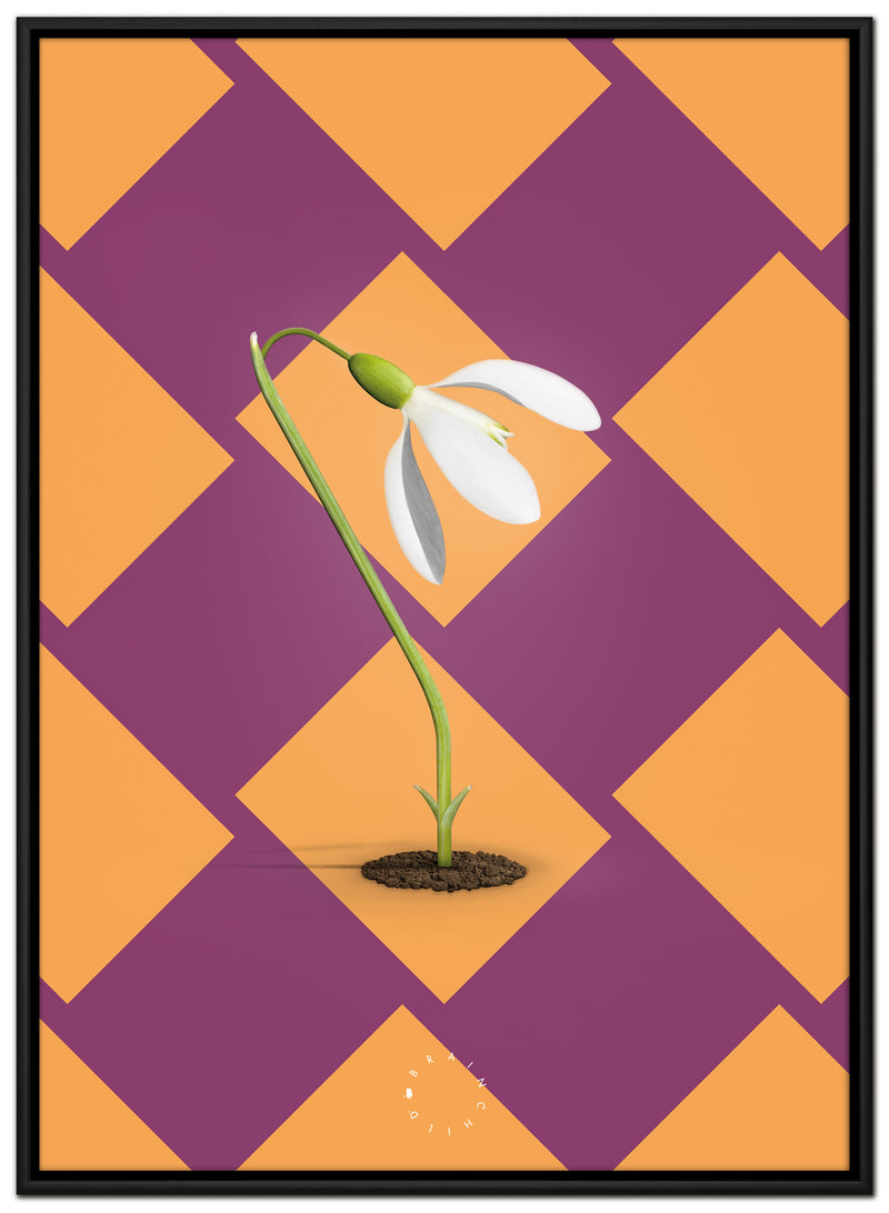 Brainchild – Canvastryck – Modern Edition – Snödroppar