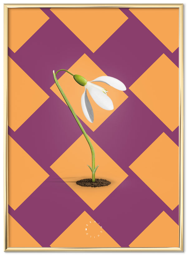 Brainchild – Poster – Modern Edition – Snödroppar