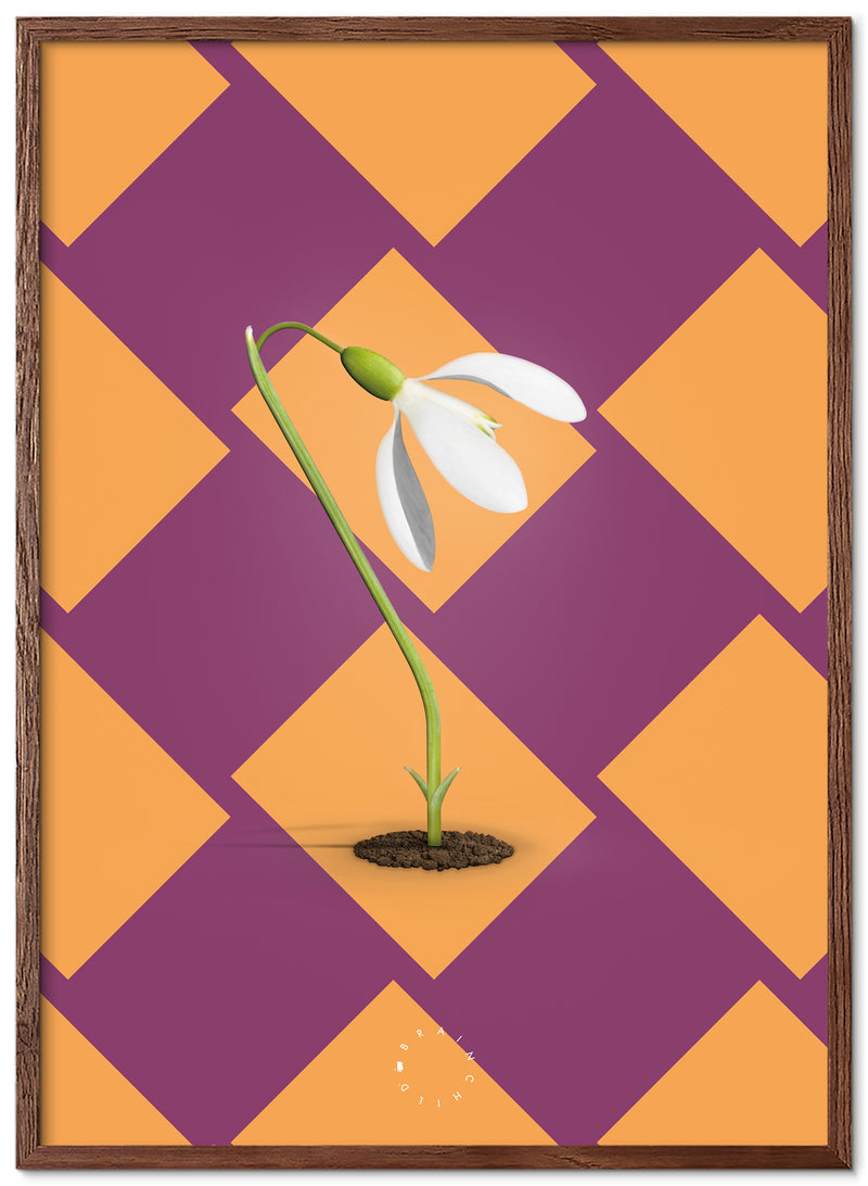 Brainchild – Poster – Modern Edition – Snödroppar