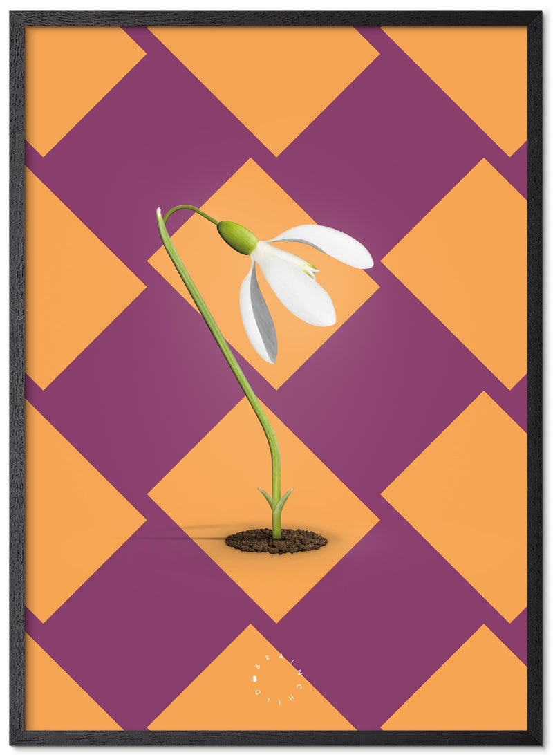 Brainchild – Poster – Modern Edition – Snödroppar