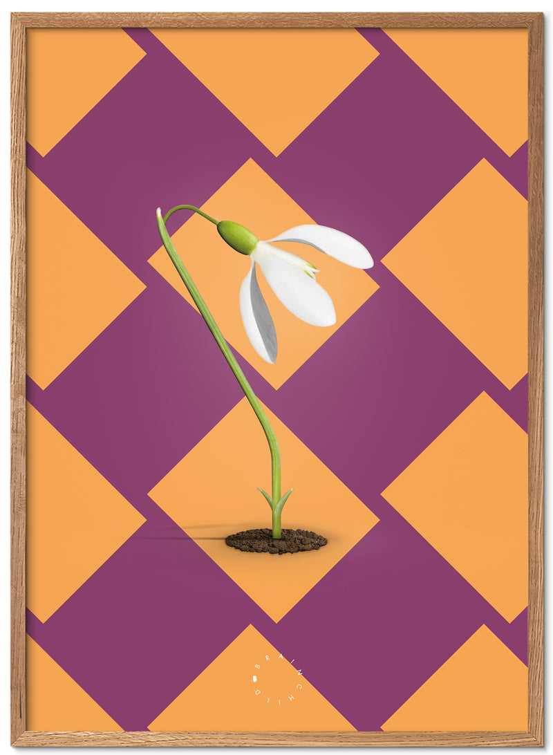 Brainchild – Poster – Modern Edition – Snödroppar