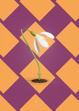 Brainchild – Poster – Modern Edition – Snödroppar