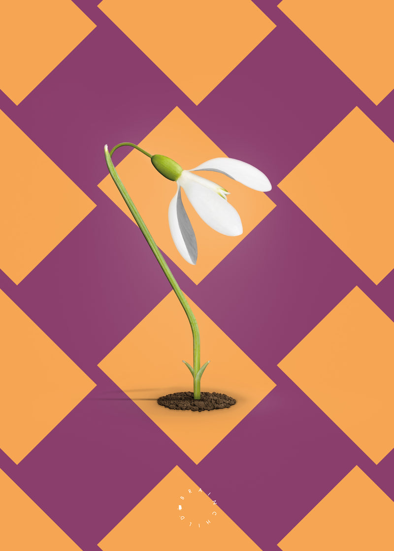 Brainchild – Poster – Modern Edition – Snödroppar
