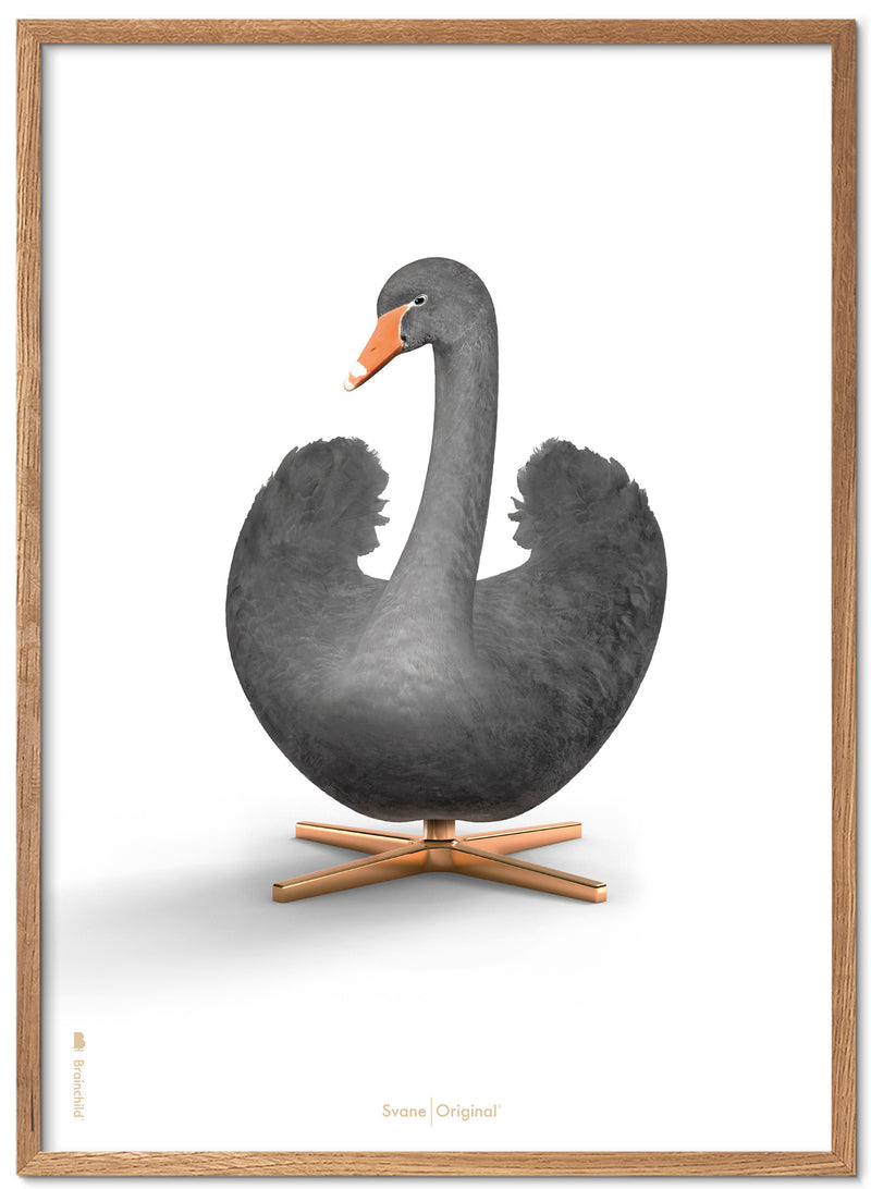 Brainchild – Poster – Klassisk – Vit – Svan
