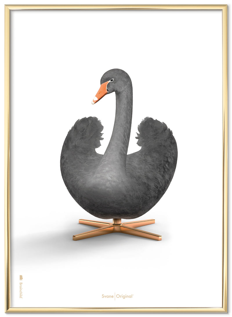 Brainchild – Poster – Klassisk – Vit – Svan