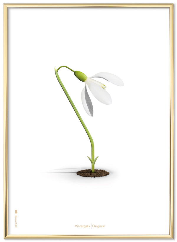 Brainchild – Poster – Klassisk – Vit – Snödroppar