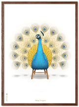Brainchild – Poster – Klassisk – Vit – Påfågel