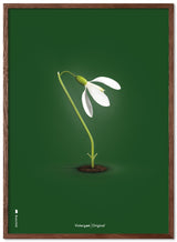 Brainchild – Poster – Klassisk – Grön – Snödroppar
