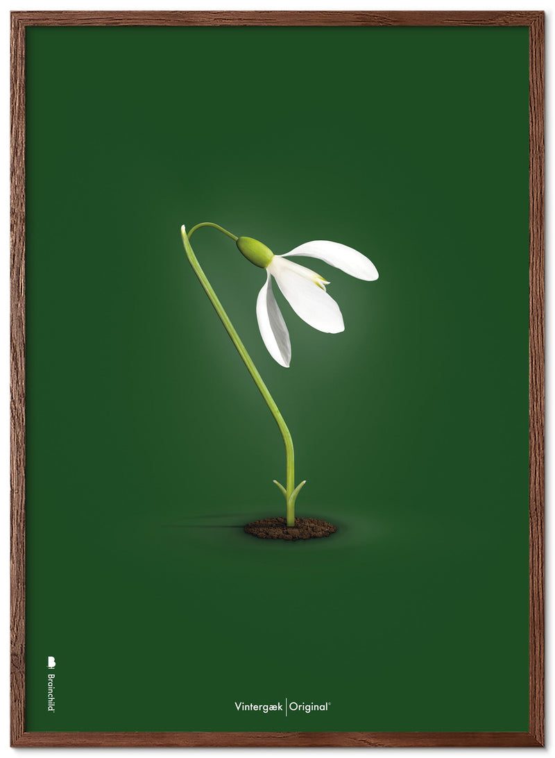 Brainchild – Poster – Klassisk – Grön – Snödroppar