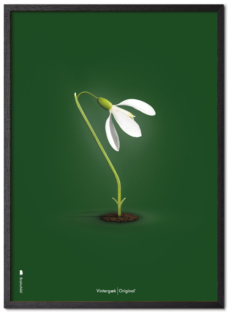 Brainchild – Poster – Klassisk – Grön – Snödroppar