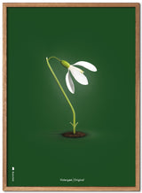 Brainchild – Poster – Klassisk – Grön – Snödroppar