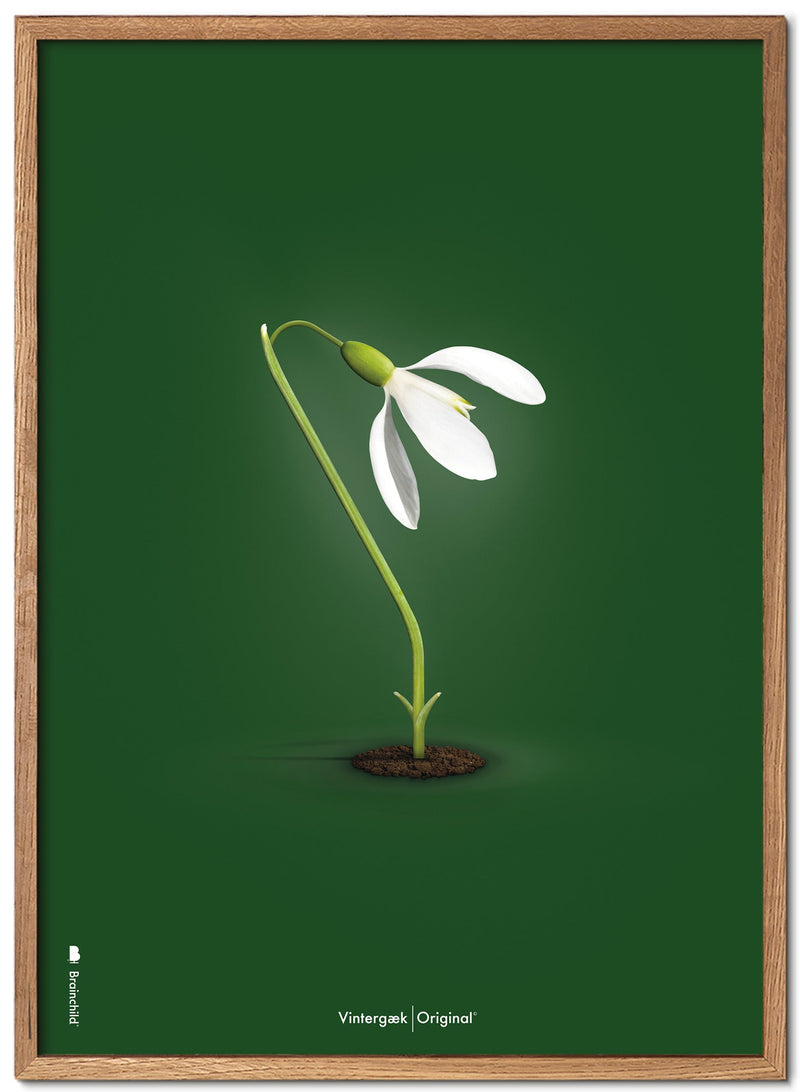 Brainchild – Poster – Klassisk – Grön – Snödroppar
