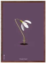 Brainchild – Poster – Klassisk – Lila – Snödroppar