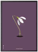 Brainchild – Poster – Klassisk – Lila – Snödroppar