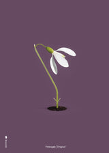 Brainchild – Poster – Klassisk – Lila – Snödroppar
